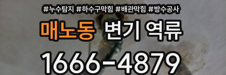 매노동 변기 역류