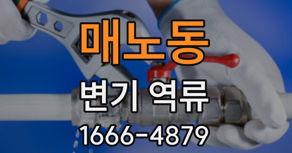 매노동 변기 역류