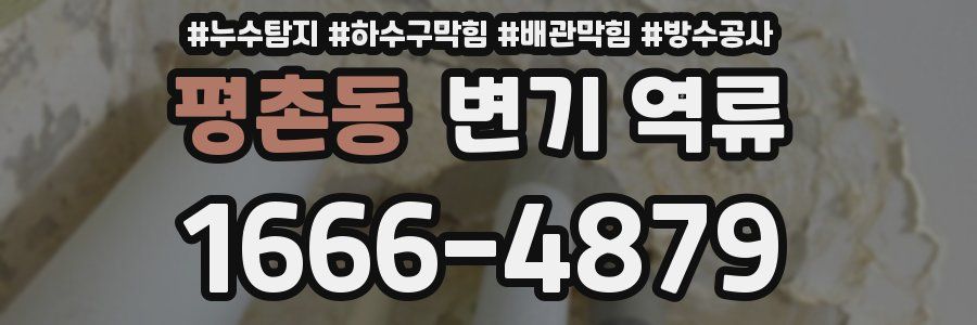 평촌동 변기 역류