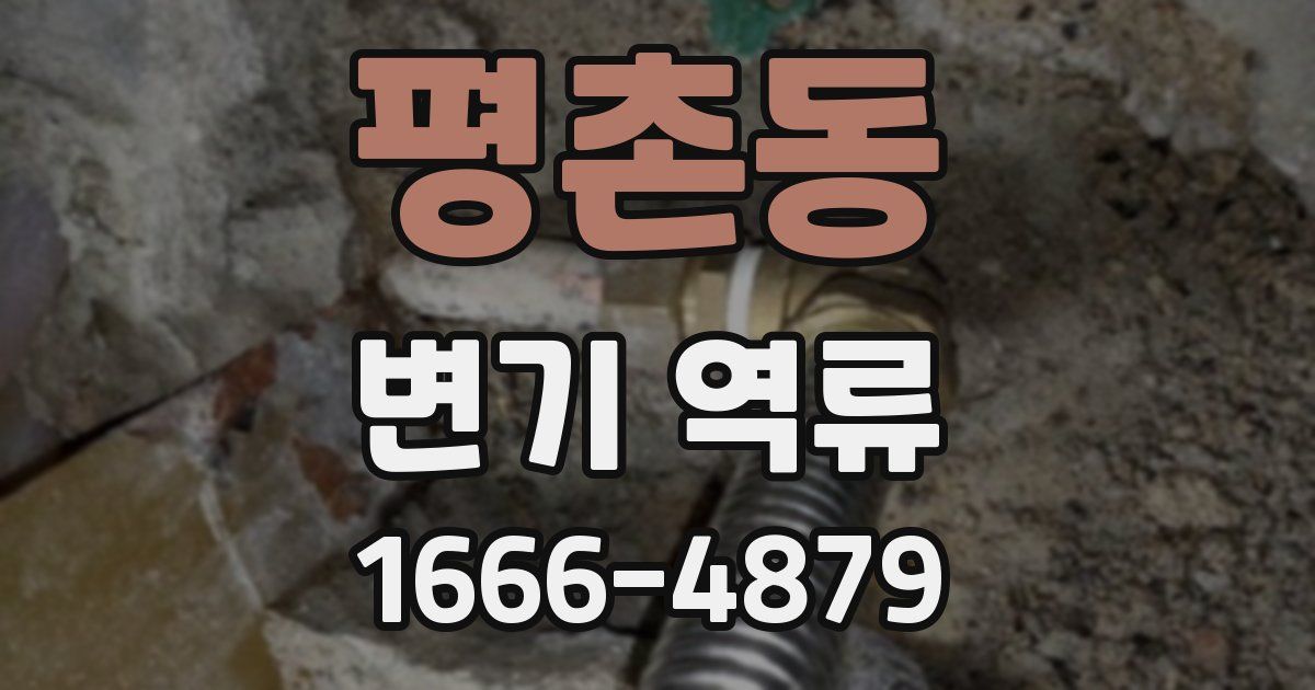평촌동 변기 역류