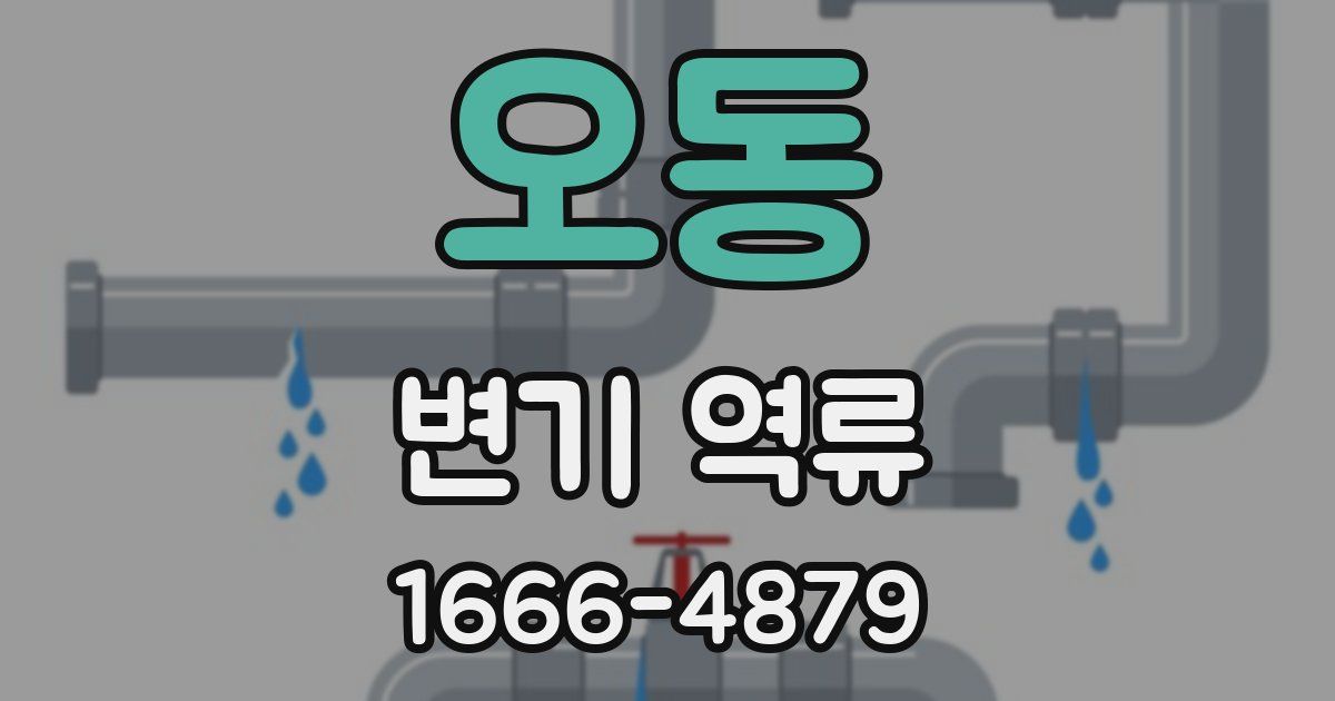 오동 변기 역류
