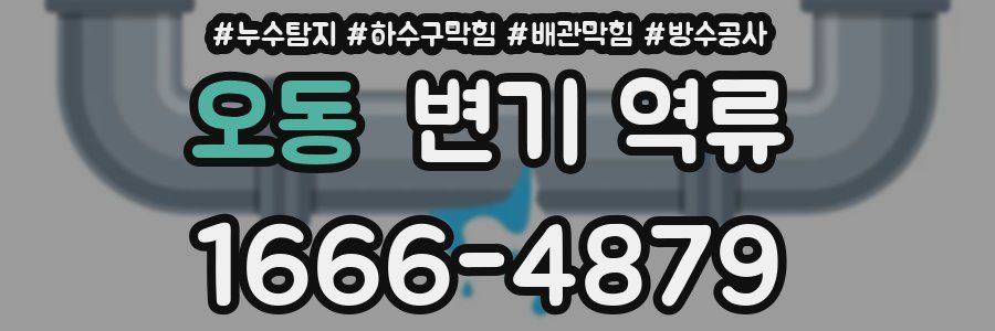 오동 변기 역류