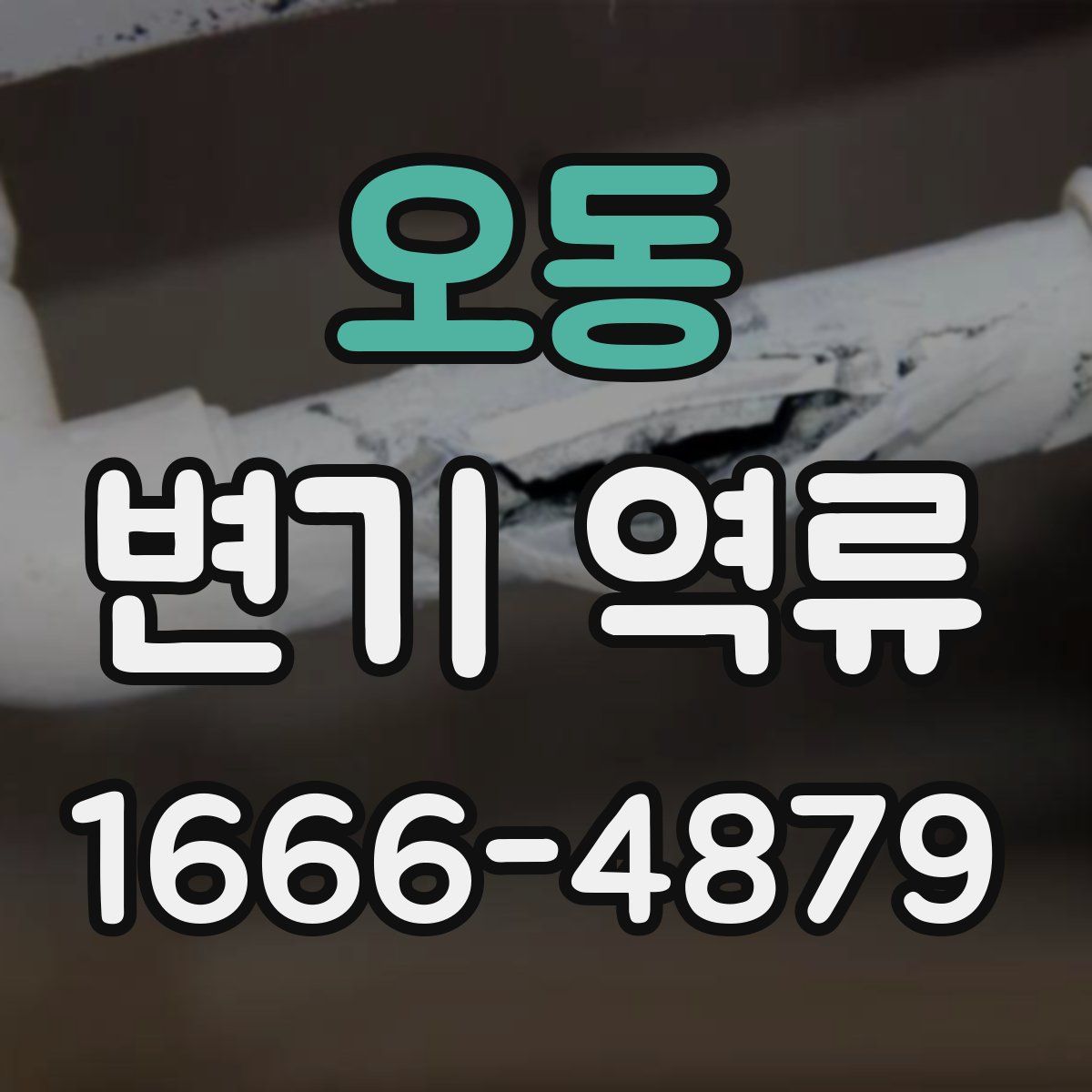 오동 변기 역류