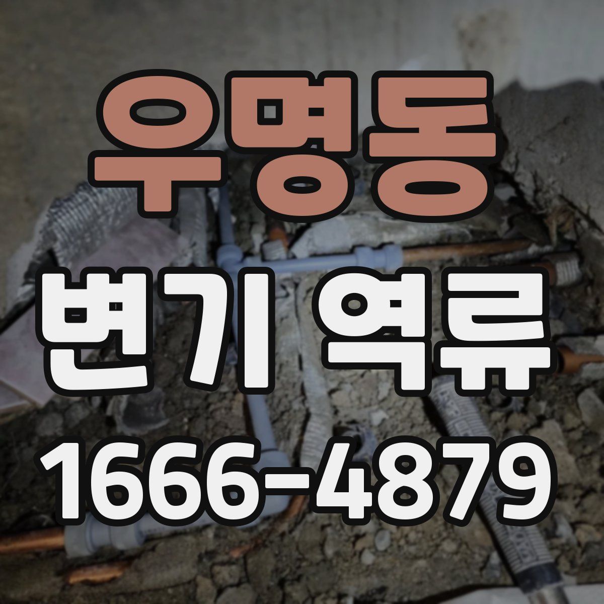 우명동 변기 역류