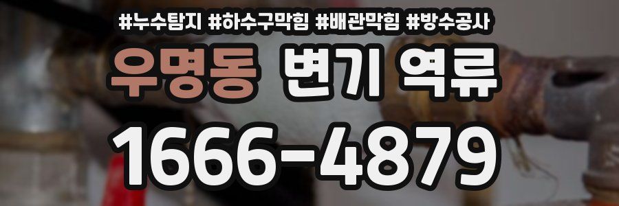 우명동 변기 역류