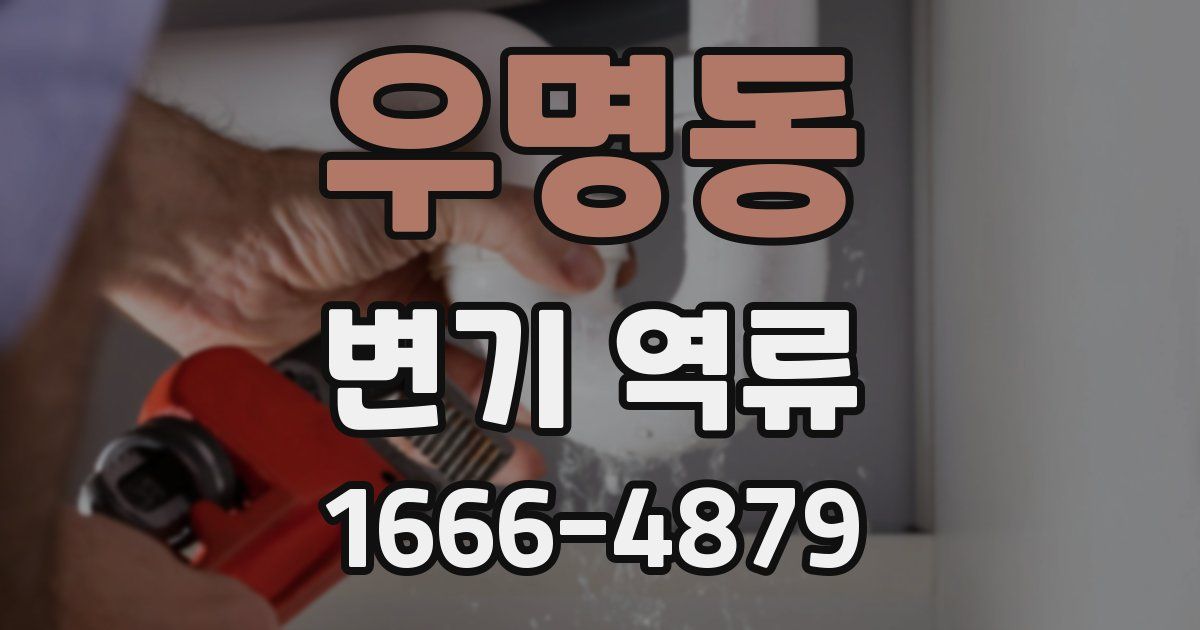 우명동 변기 역류