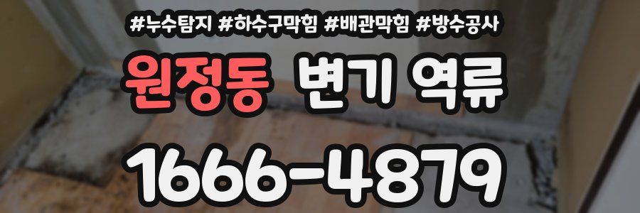 원정동 변기 역류
