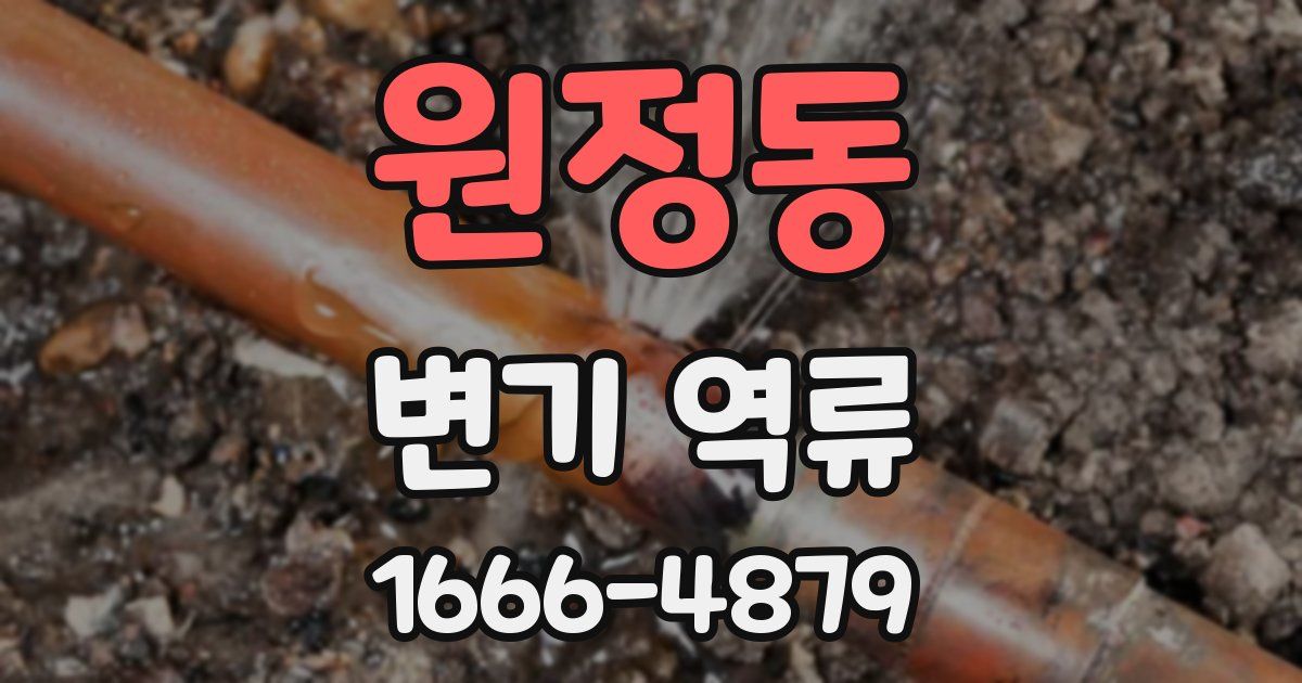 원정동 변기 역류