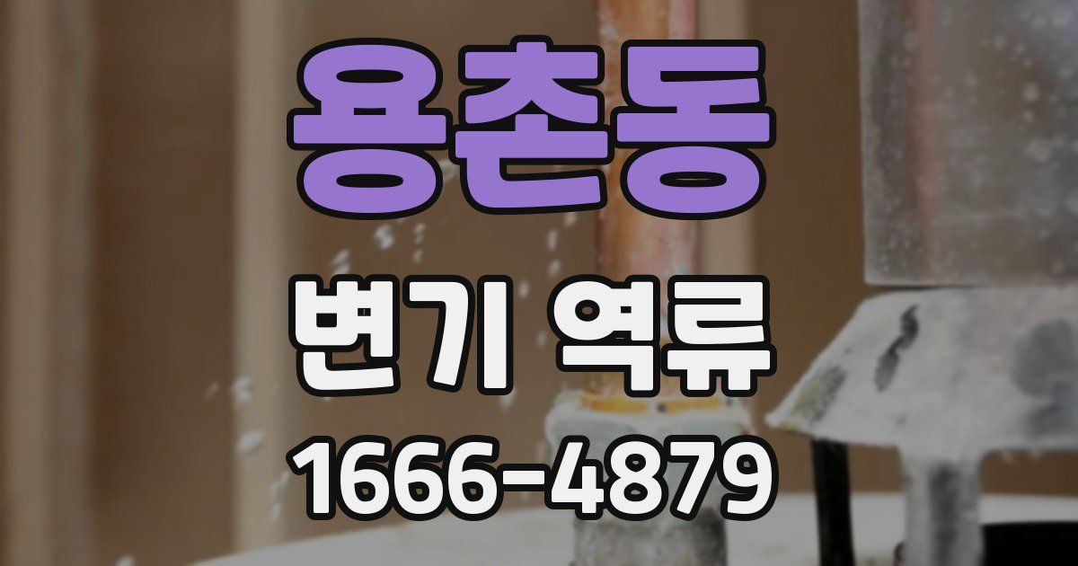 용촌동 변기 역류