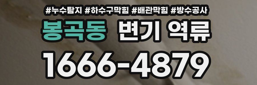 봉곡동 변기 역류