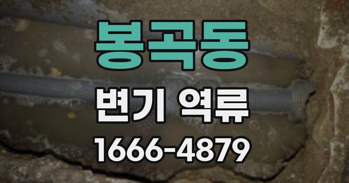 봉곡동 변기 역류