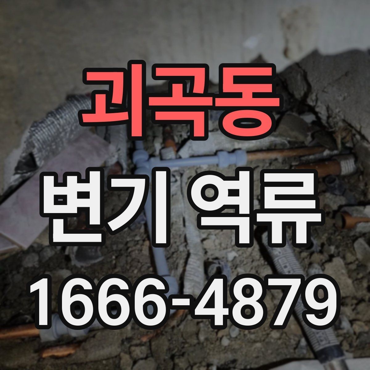 괴곡동 변기 역류 변기 교체보다 먼저 확인할 사항