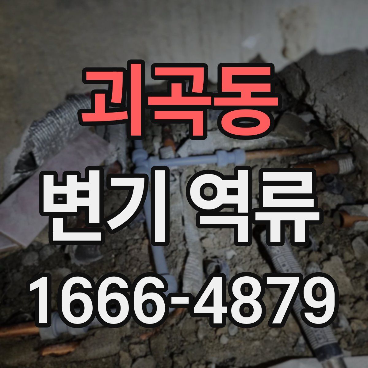 괴곡동 변기 역류