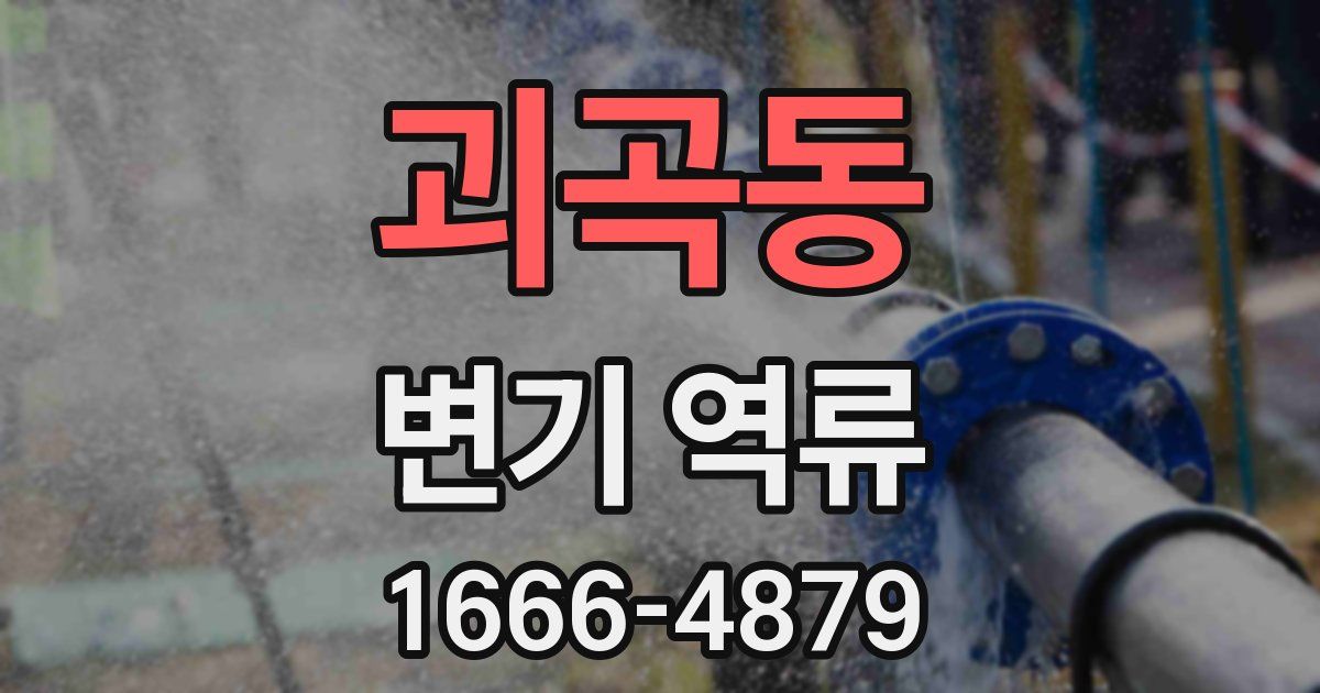 괴곡동 변기 역류