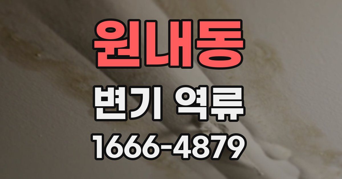 원내동 변기 역류
