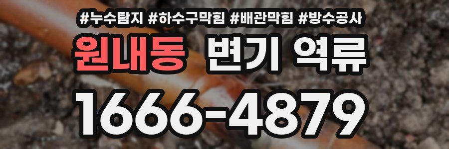 원내동 변기 역류