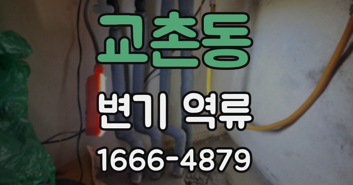교촌동 변기 역류