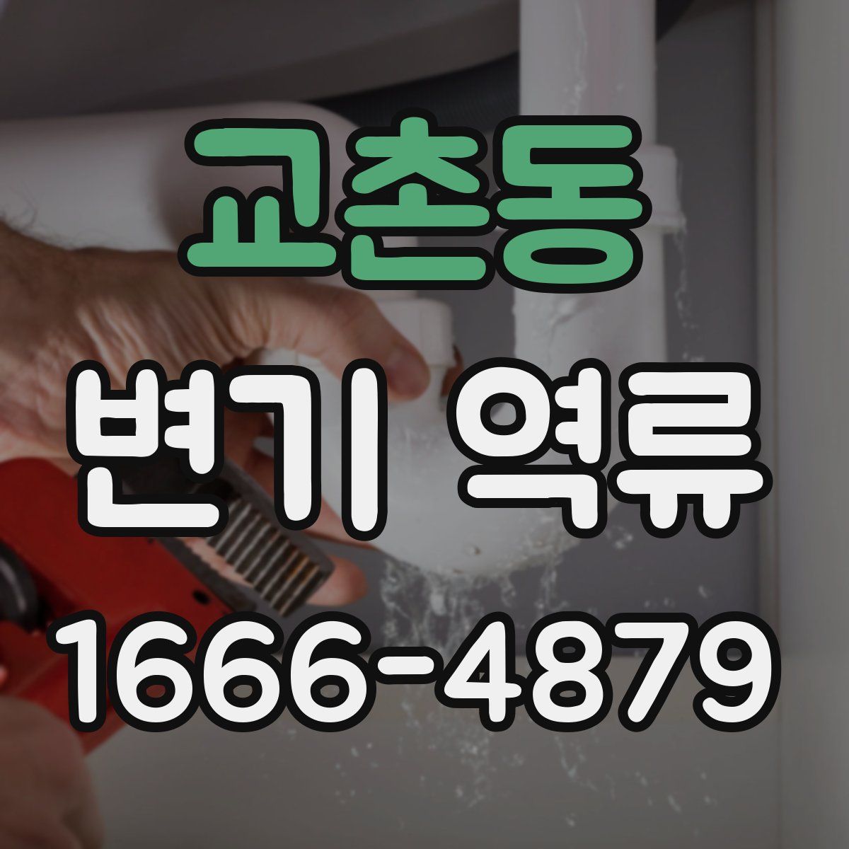 교촌동 변기 역류