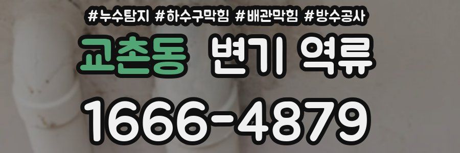 교촌동 변기 역류
