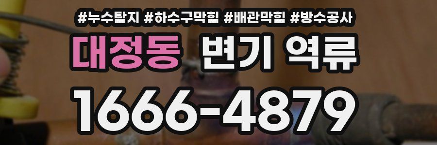 대정동 변기 역류