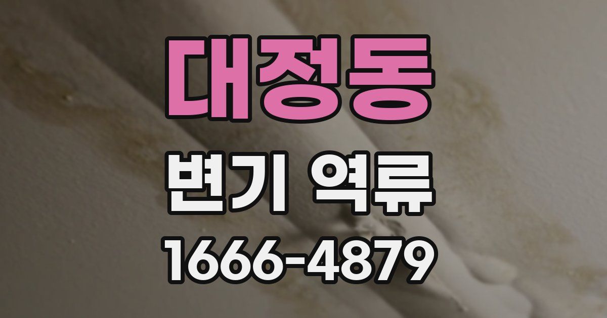 대정동 변기 역류
