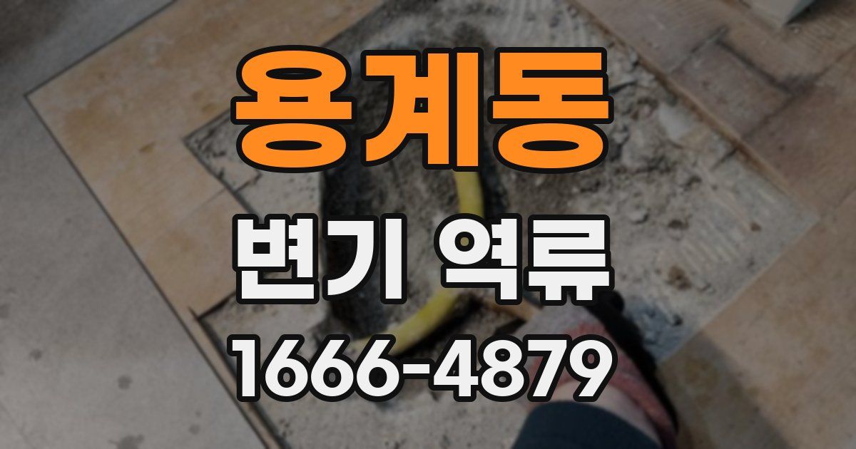 용계동 변기 역류