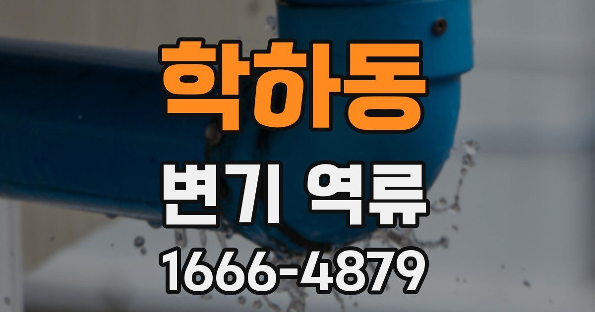 학하동 변기 역류