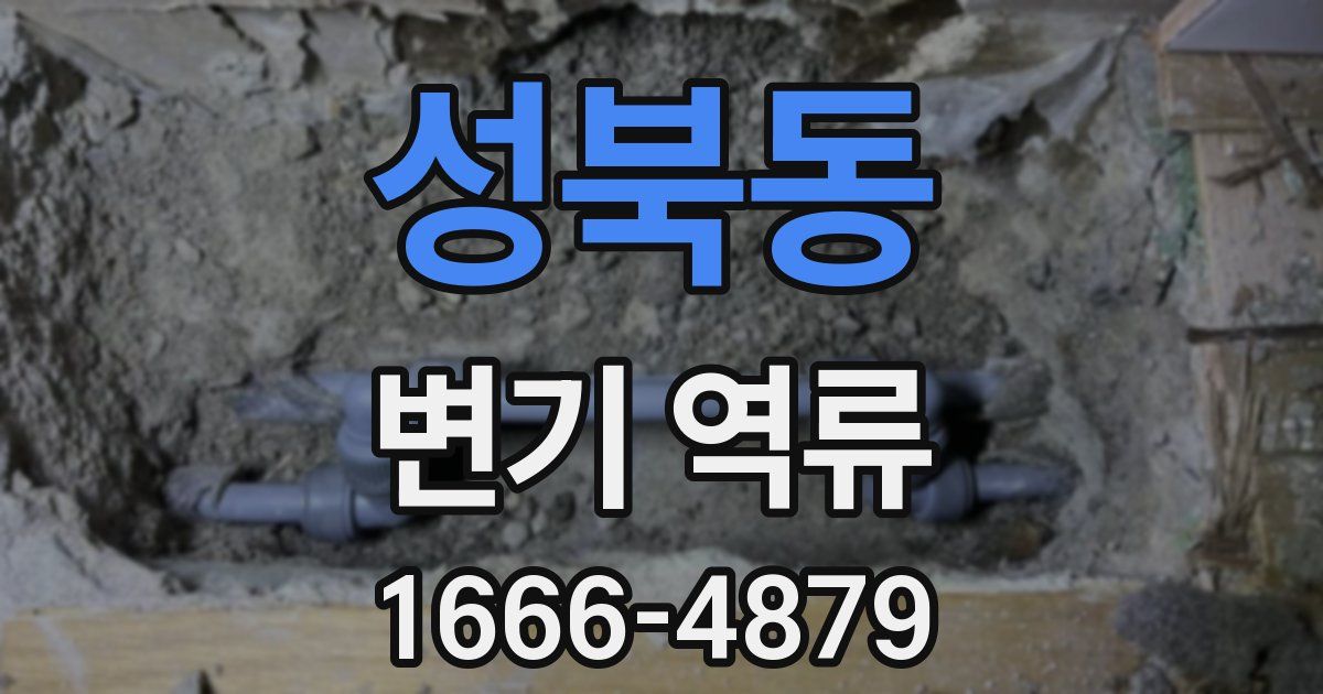 성북동 변기 역류