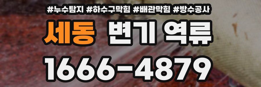 세동 변기 역류