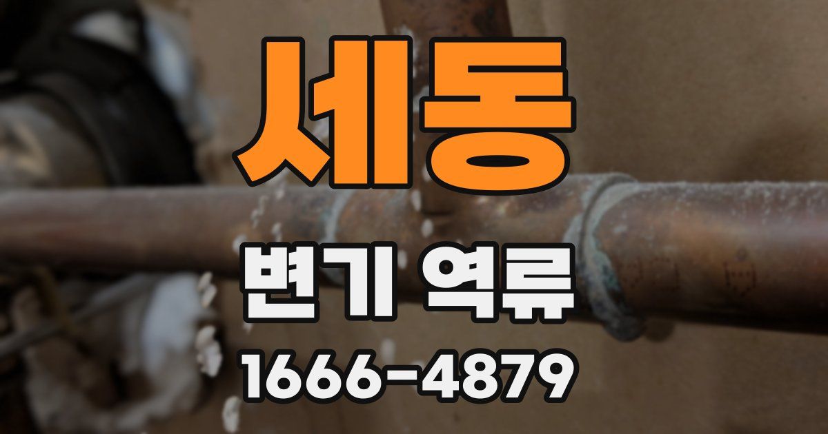 세동 변기 역류