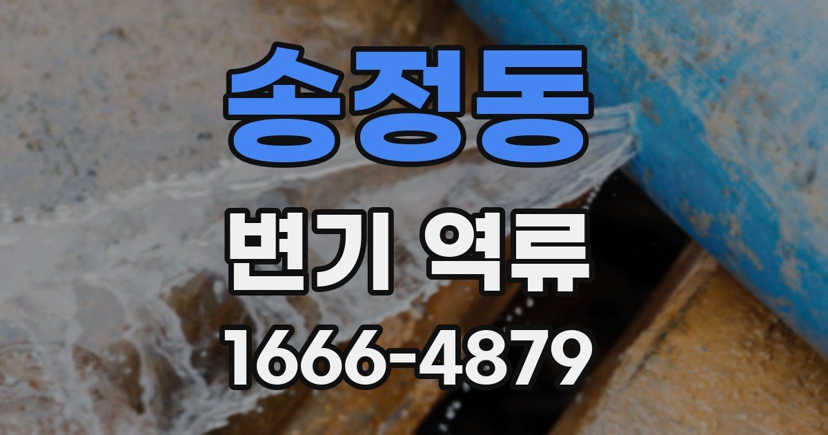송정동 변기 역류