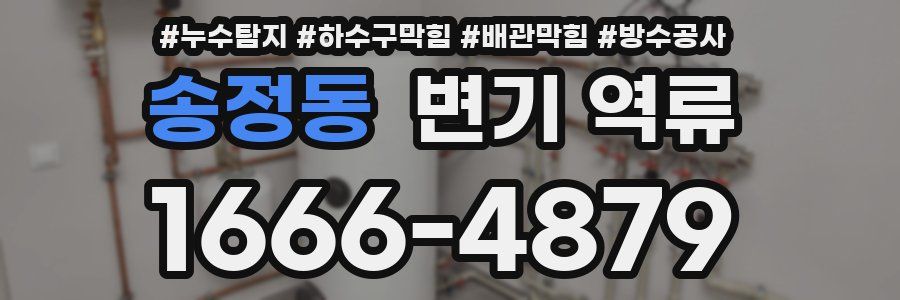 송정동 변기 역류