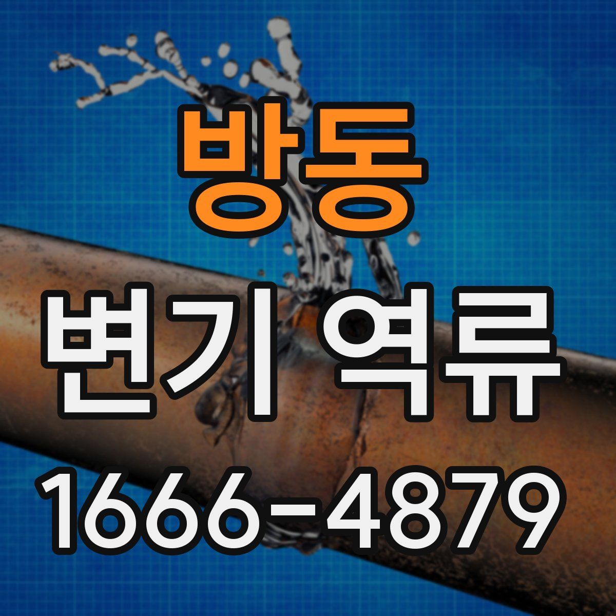 방동 변기 역류