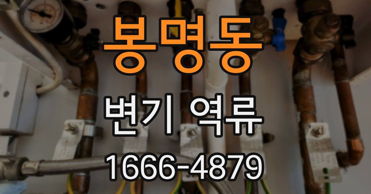 봉명동 변기 역류