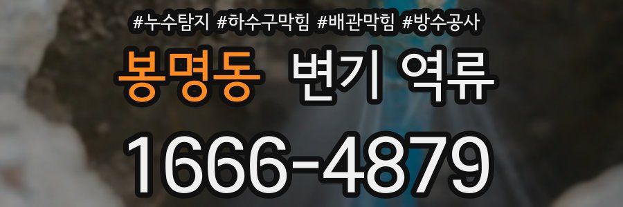 봉명동 변기 역류