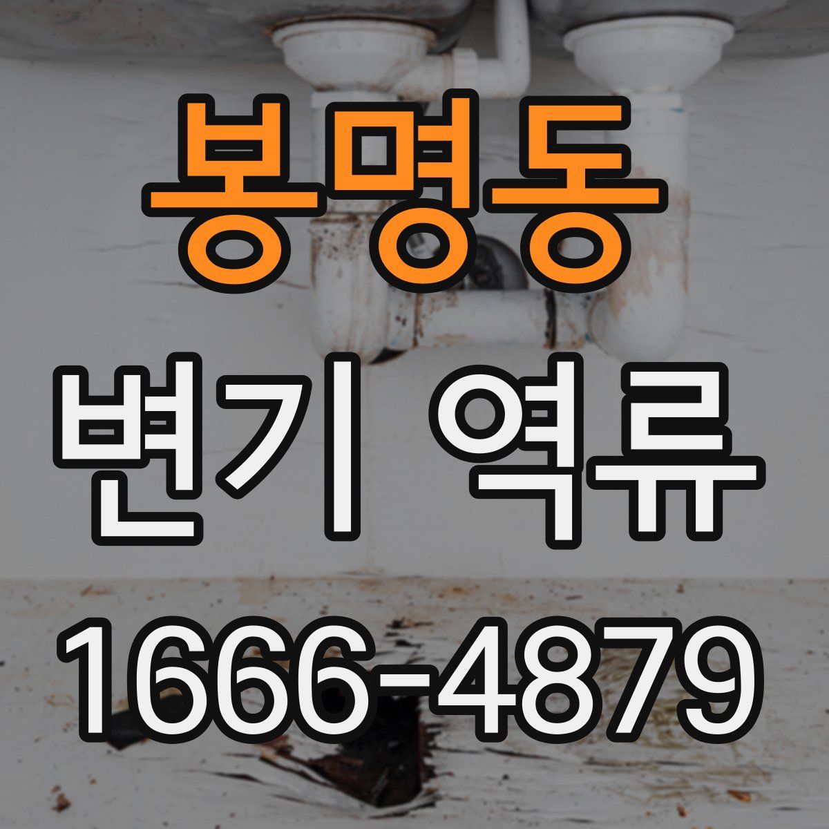 봉명동 변기 역류