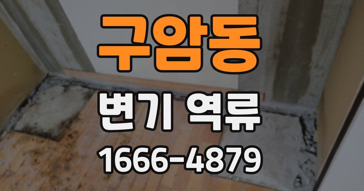 구암동 변기 역류