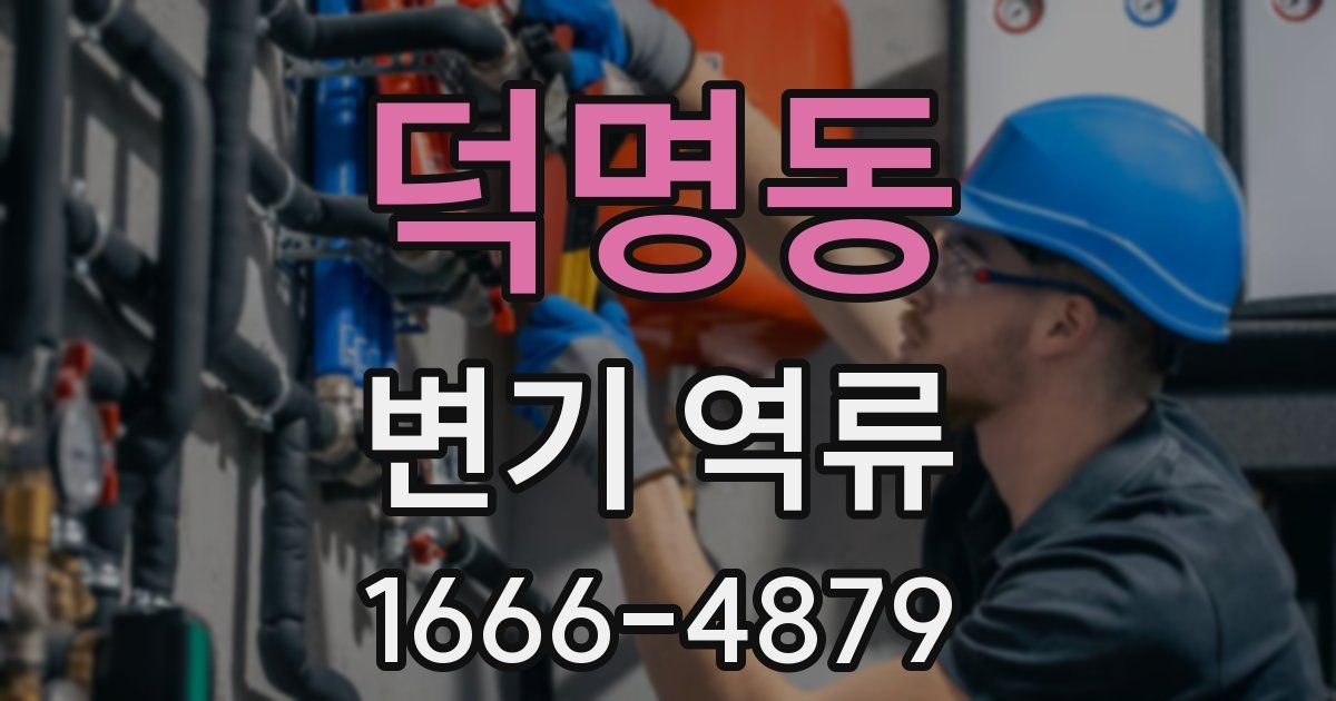 덕명동 변기 역류