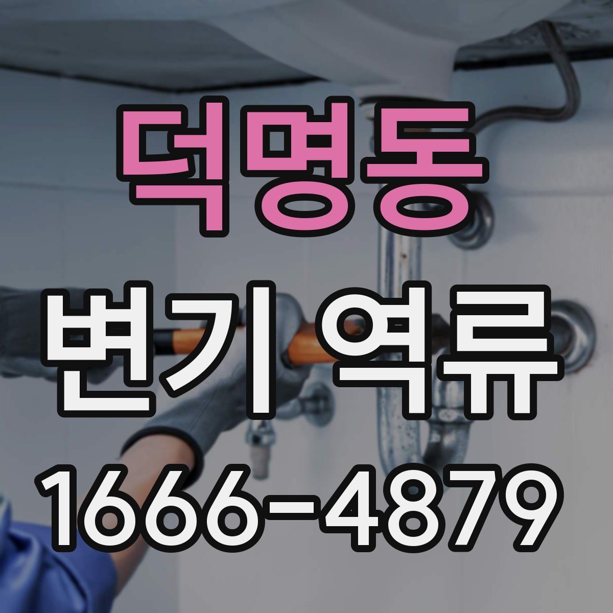 덕명동 변기 역류
