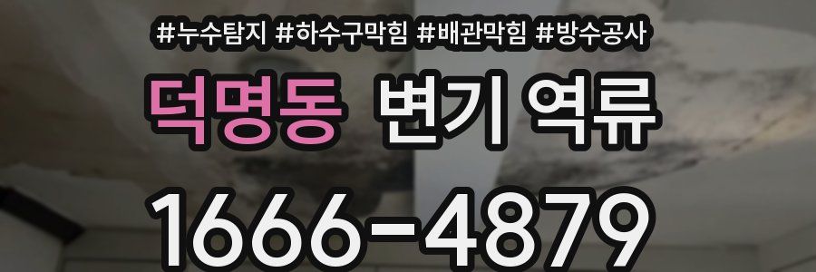 덕명동 변기 역류