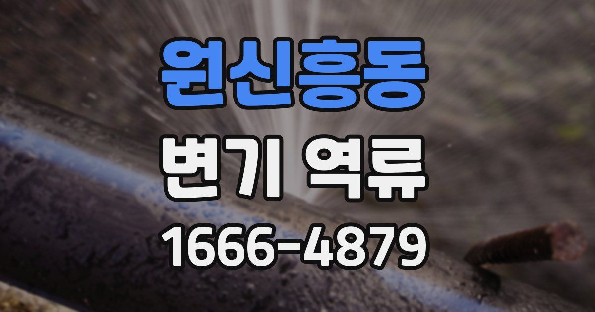 원신흥동 변기 역류