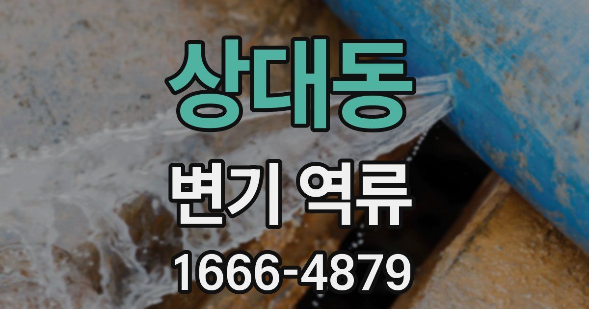 상대동 변기 역류