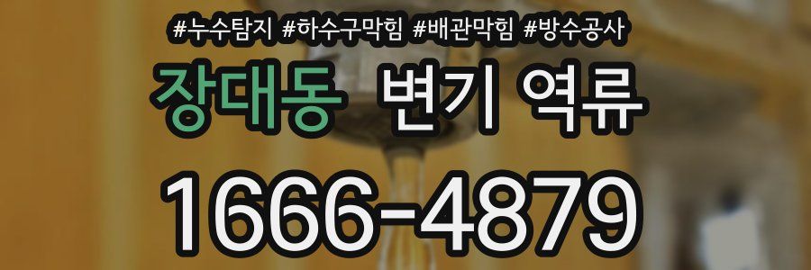 장대동 변기 역류