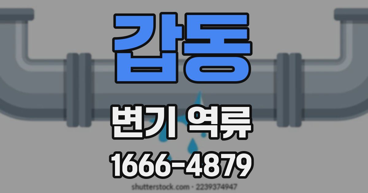 갑동 변기 역류