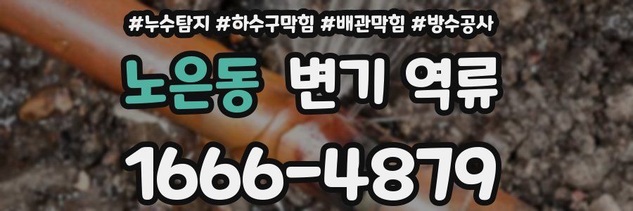 노은동 변기 역류