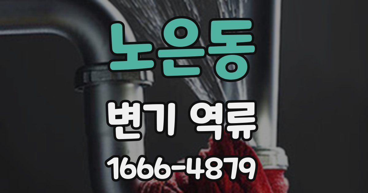 노은동 변기 역류