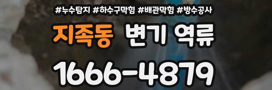 지족동 변기 역류