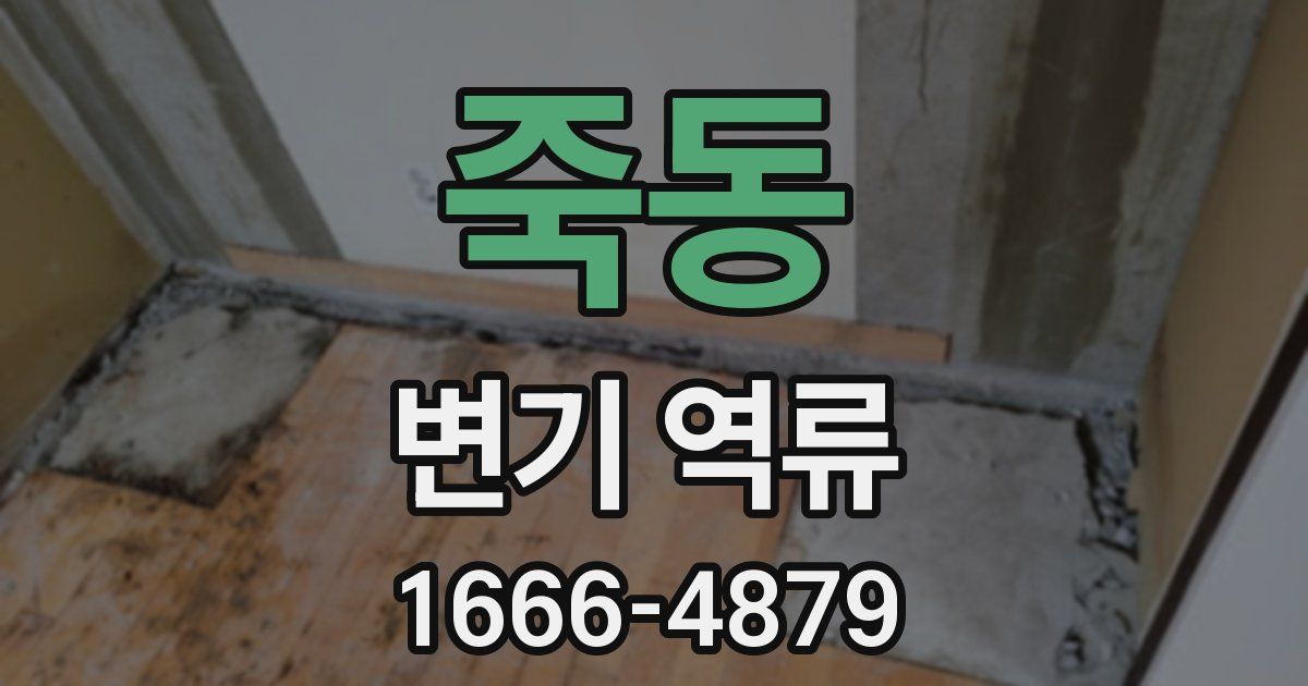 죽동 변기 역류