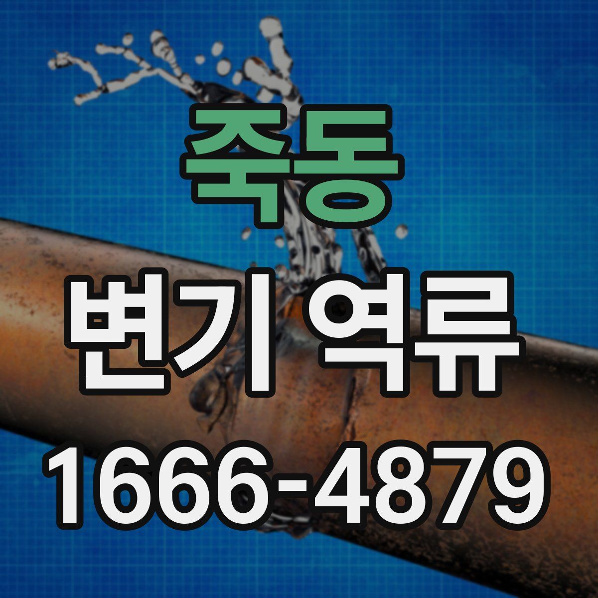 죽동 변기 역류