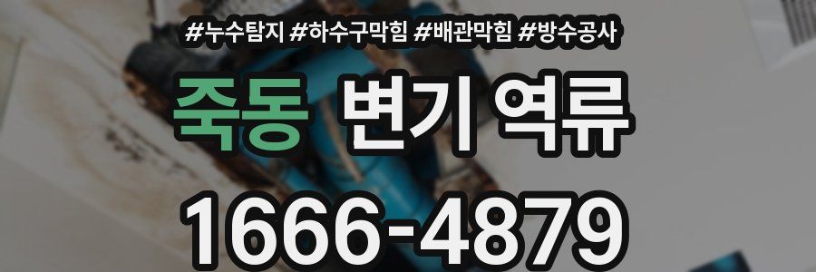 죽동 변기 역류